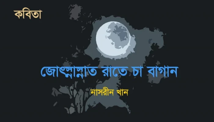 ​জোৎস্নাস্নাত রাতে চা বাগান