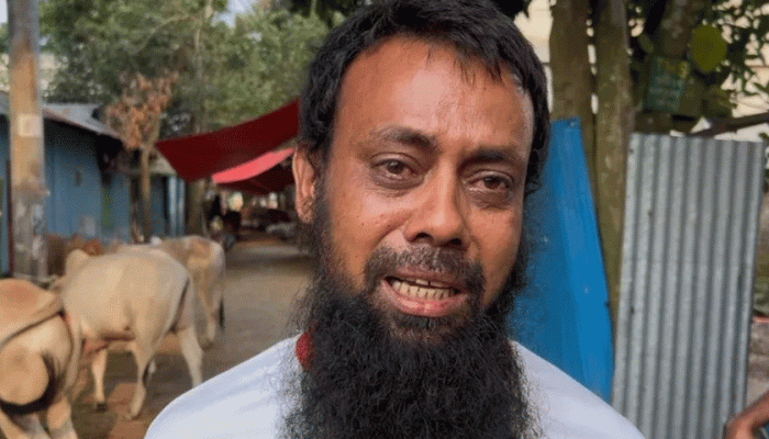 ফেনীতে অস্ত্রের মুখে ব্যবসায়ীর গরু ছিনতাই