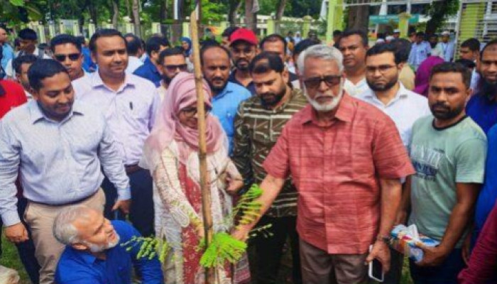 জলবায়ু পরিবর্তন মোকাবিলায় কিশোরগঞ্জে ৫ বছরে ২৫ কোটি বৃক্ষরোপণ কর্মসূচির সূচনা