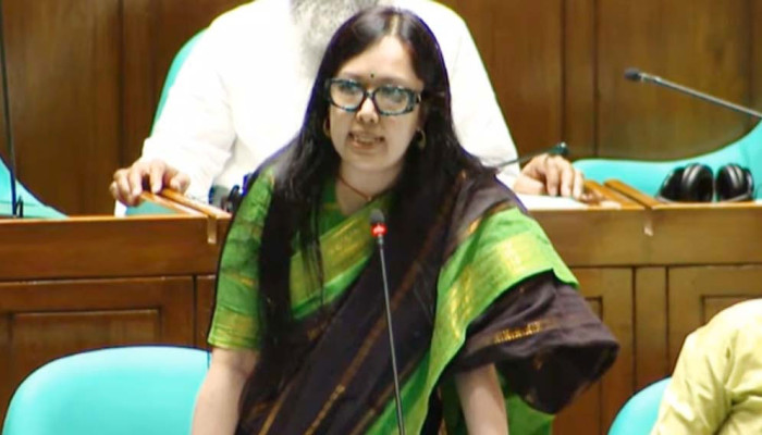 আ. লীগ স্থানীয় সরকার নির্বাচনে অংশ নিতে পারবে কিনা, প্রশ্ন রুমিন ফারহানার