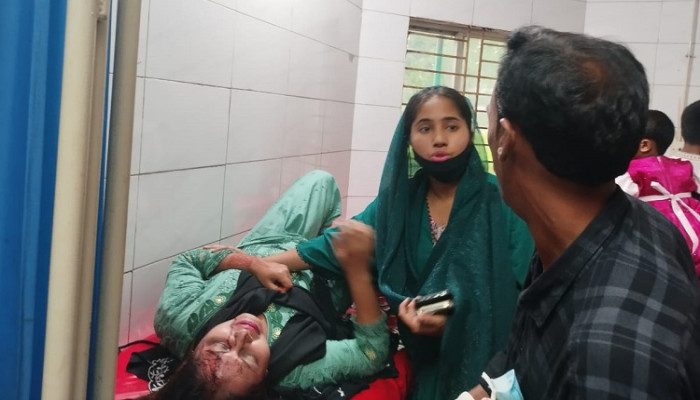 শ্রীপুরে কিশোর গ্যাং সদস্যদের হামলায় নারীসহ আহত ২, নারীকে হামলার ঘটনা ভাইরাল
