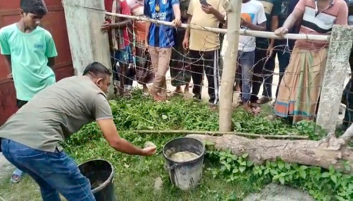 ​চুয়াডাঙ্গার রাইসা বিলের মৎস্য অবতরণ কেন্দ্রের সামনে বোমা সদৃশ বস্তু উদ্ধার