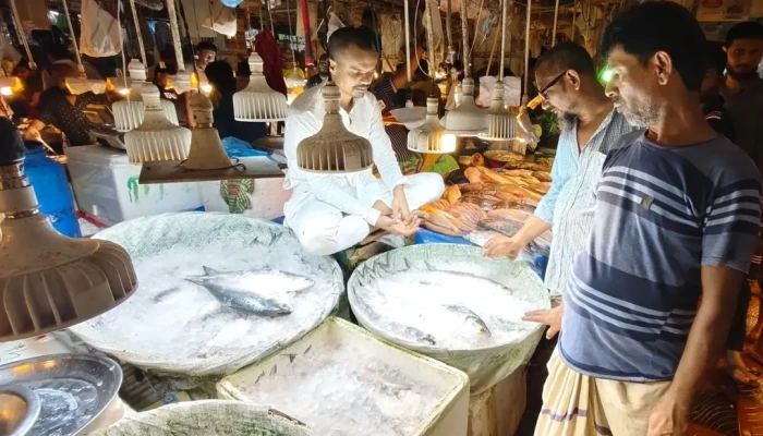 ​হাজার থেকে ২৮০০ টাকা কেজি, মধ্যবিত্তের নাগালের বাইরে ইলিশ