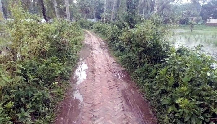 ​গৌরনদীর ইট সলিংয়ের রাস্তাটি এখন মরণ ফাঁদে পরিণত, দেখার যেন কেউ নেই