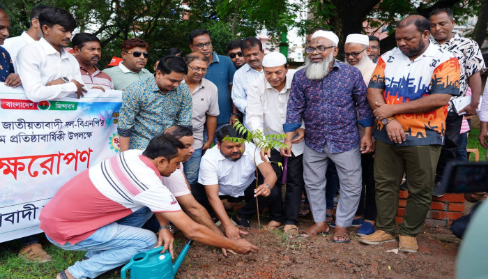 ​রাজশাহীতে বিএনপির প্রতিষ্ঠাবার্ষিকীতে বৃক্ষরোপণ