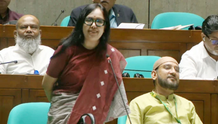 বিএনপি ক্ষমতায় আসবে আর গ্যাস–বিদ্যুৎ সংকট হবে না, এটা হতে পারে না: রুমিন ফারহানা