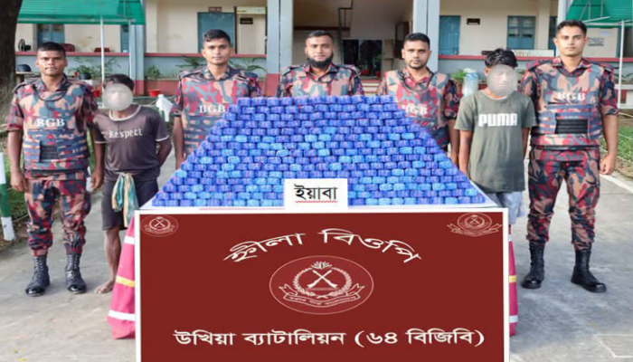 অভিনব কায়দায় পাচারকালে ১৪ লাখ ইয়াবা জব্দ, আটক ২