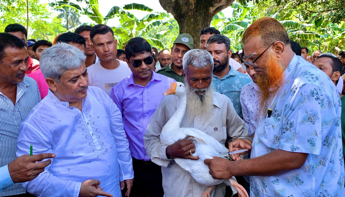 ​পবায় ৮৩ হাজার ৫০০ টিকা প্রদানের উদ্বোধন করলেন এমপি মিলন