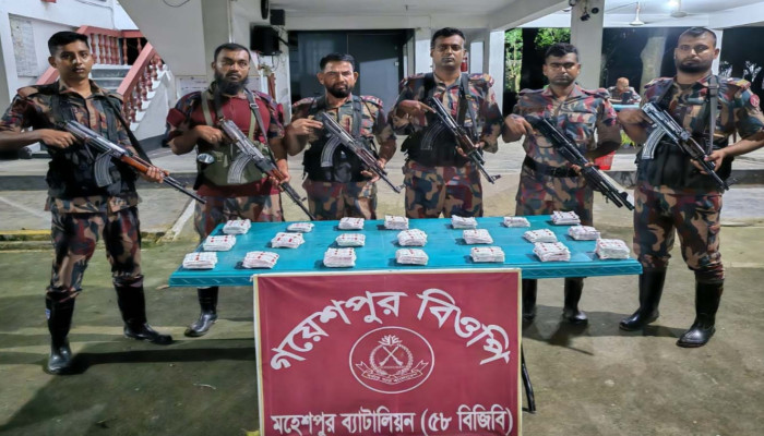 ​মহেশপুর ৫৮ বিজিবি সীমান্তে অভিযান চালিয়ে ৪৮ লাখ টাকার ভারতীয় ওষুধ জব্দ, আটক দুই