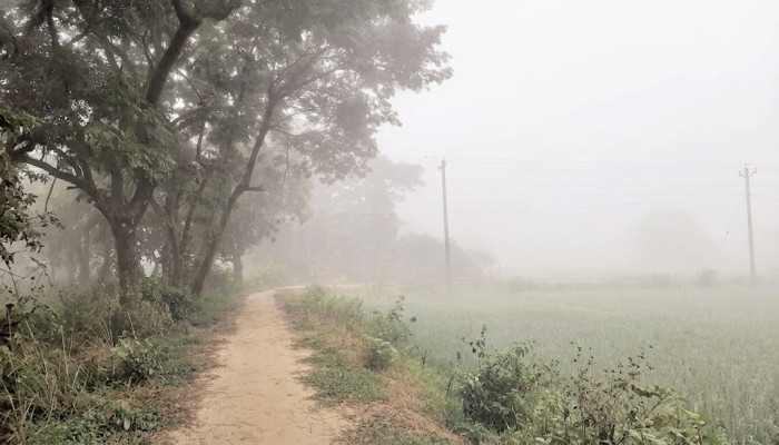 চুনারুঘাটে ভোরের কুয়াশা ও হিমেল হাওয়ায় মৃদু শীতের আগমনী