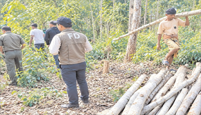 মেহেরঘোনায় বনের গাছ কাটার অভিযোগ, তথ্যদাতাদের হয়রানি